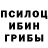 Псилоцибиновые грибы Psilocybine cubensis played me