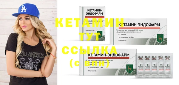 трава Елизово