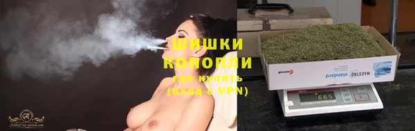 трава Елизово