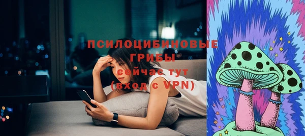марки lsd Ельня