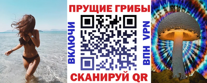 Купить  Камбарка  Псилоцибиновые грибы ЛСД 
